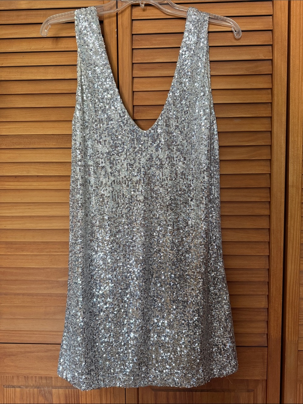 BB Dakota Silver Sequin Mini Dress
